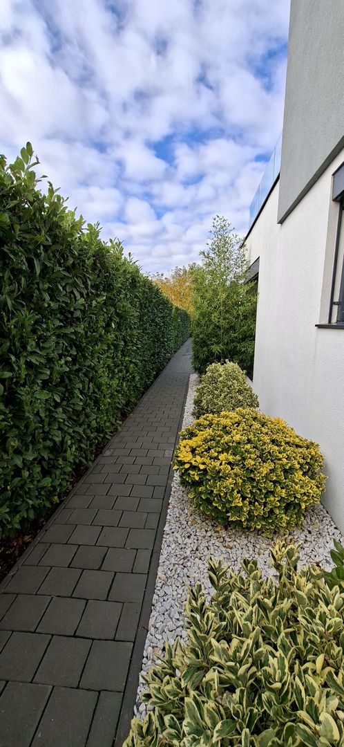 Casa mobilata si utilata cu teren de 432mp - Poză 36