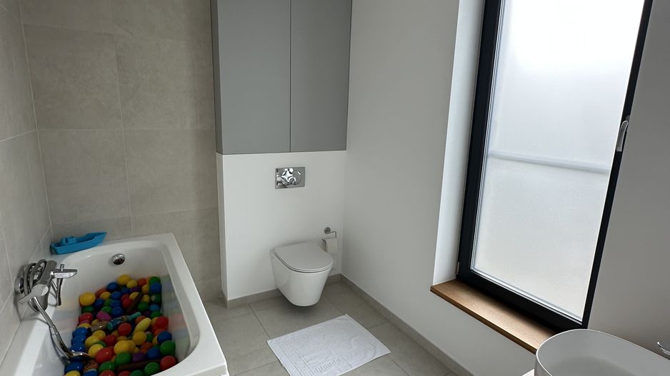 PROIECT  DEOSEBIT  IN  DUMBRAVITA - Poză 40