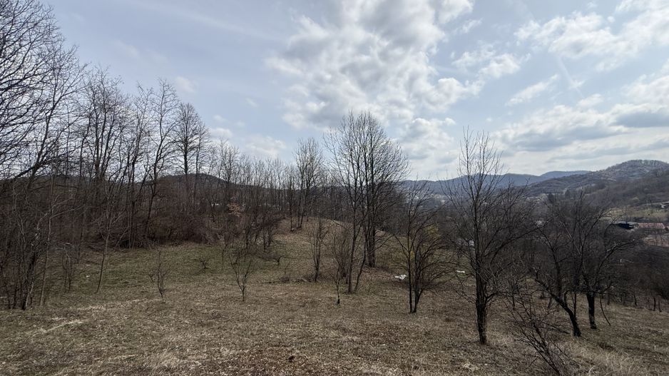 Teren 6040 mp la baza pădurii deschidere 40 ml - Poză 8