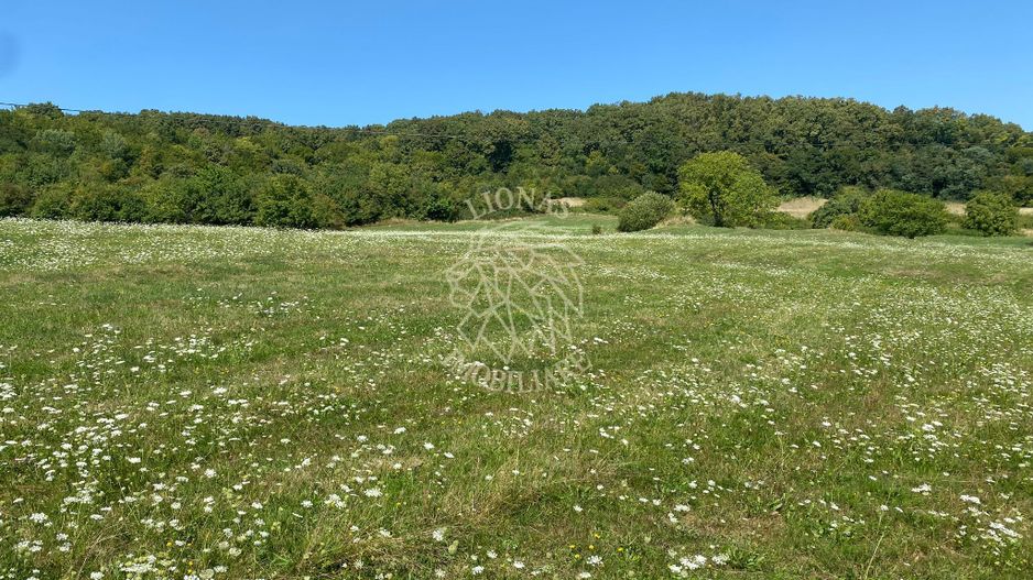 Teren 11.000 mp-ideal cabana/ferma-Unirea-Valea Slatinitei - Poză 3