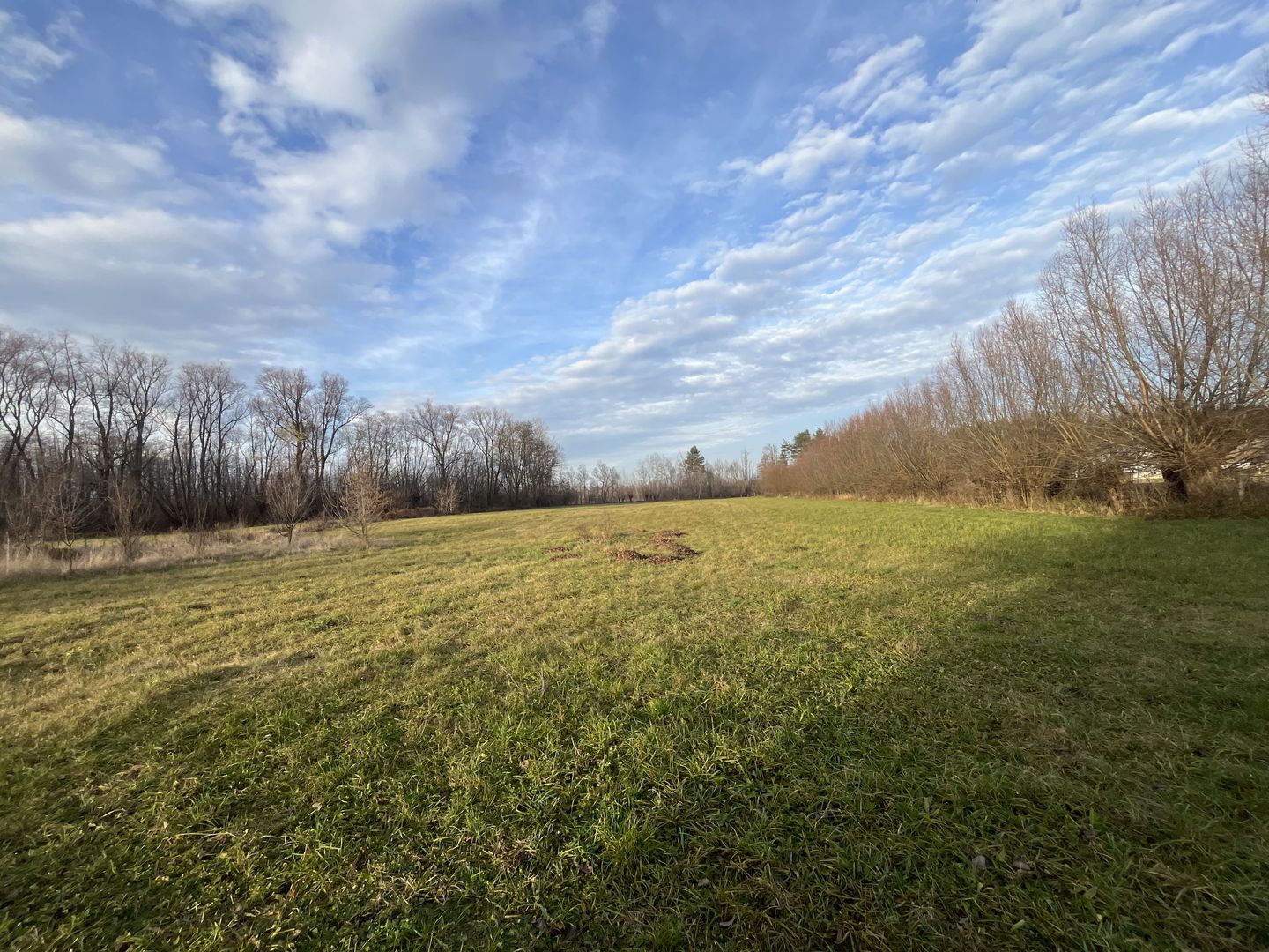 TEREN INTRAVILAN GENEROS | 72 ARI | GALANESTI - Poză 1