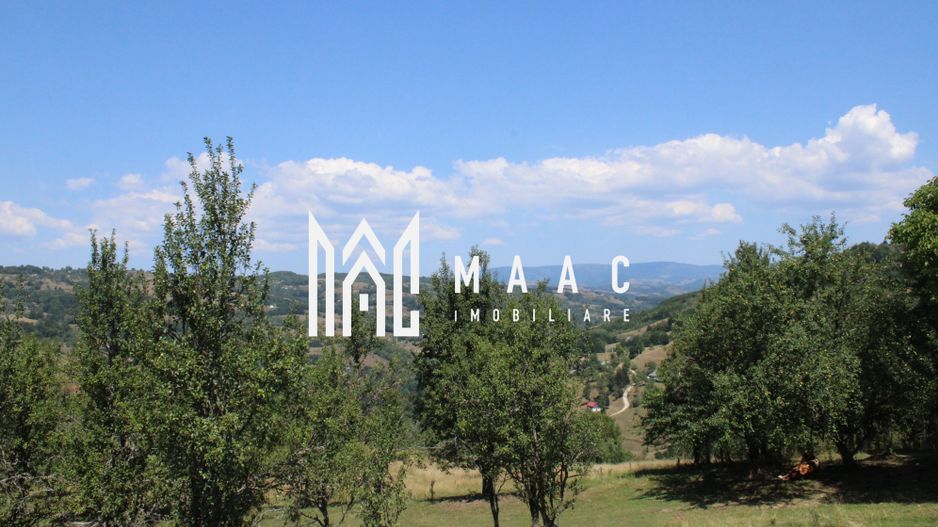 Fabrică de cherestea | Câmpeni | teren 8.000 mp - Poză 14