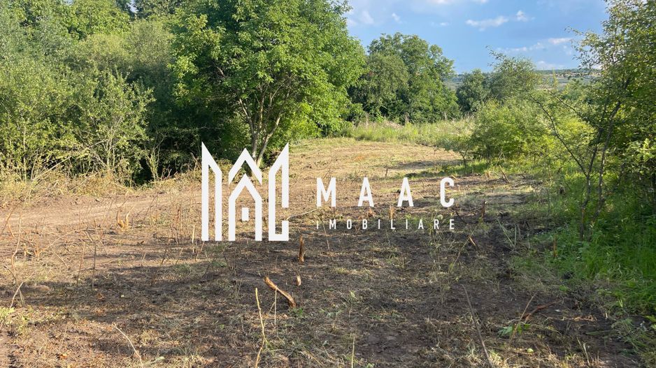 Oportunitate de Investiție Strategică | Teren Intravilan | Colonia Becas - Poză 13