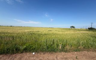 Teren 10 hectare pretabil pt panouri solare-Aricesti Rahtivani - Poză 7