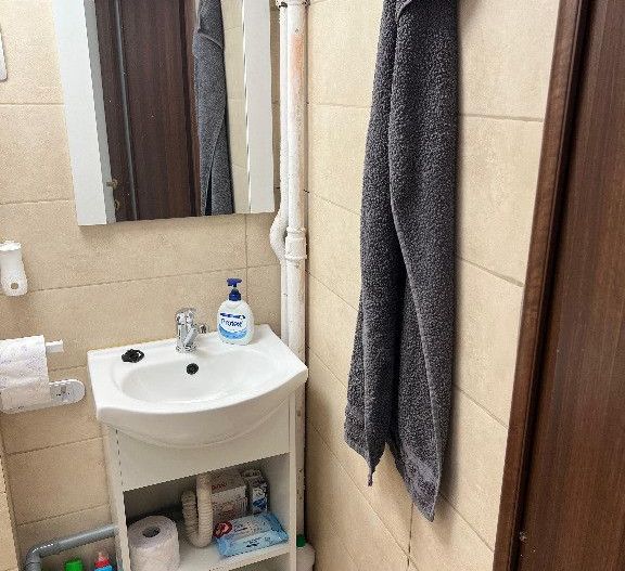 Apartament 3 camere Gradina Icoanei - Poză 16