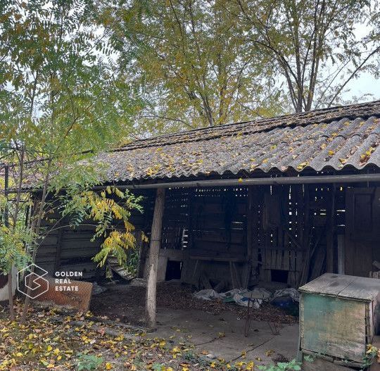 Casa traditionala cu gradina de 2200 mp, Peregu Mic - Poză 5