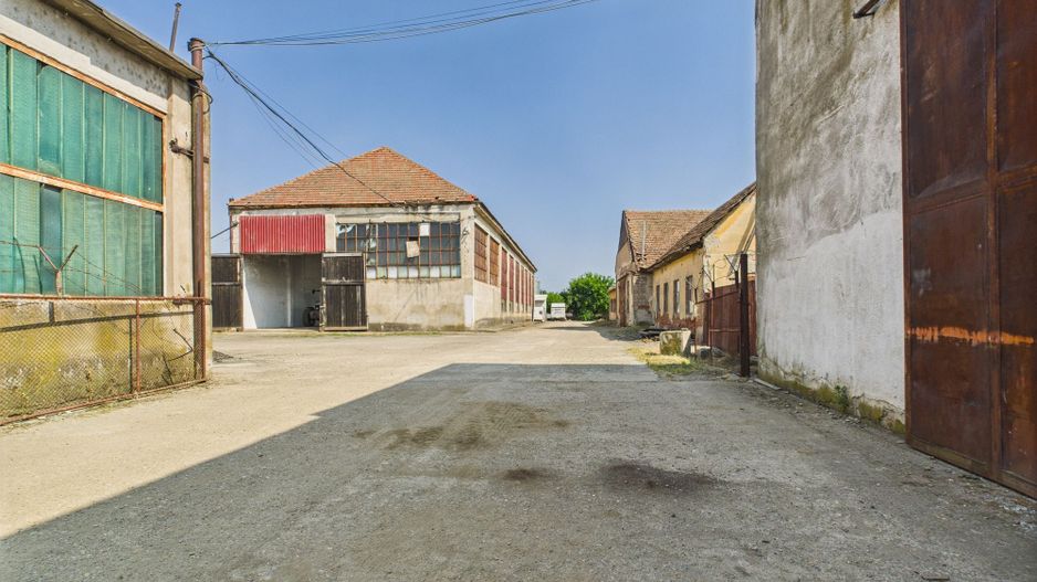 Complex industrial cu hale și teren  în Orțișoara - Poză 12