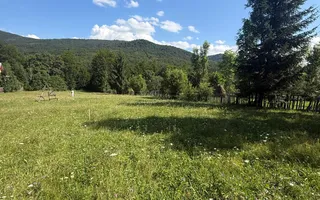 Teren intravilan 1662 mp pozitie superba-Calea Brasovului Valea Neagra - Poză 12
