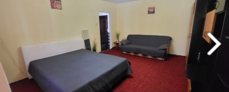GARSONIERA- VITAN, PET-FRIENDLY, MOBILAT/UTILAT MODERN - Poză 1