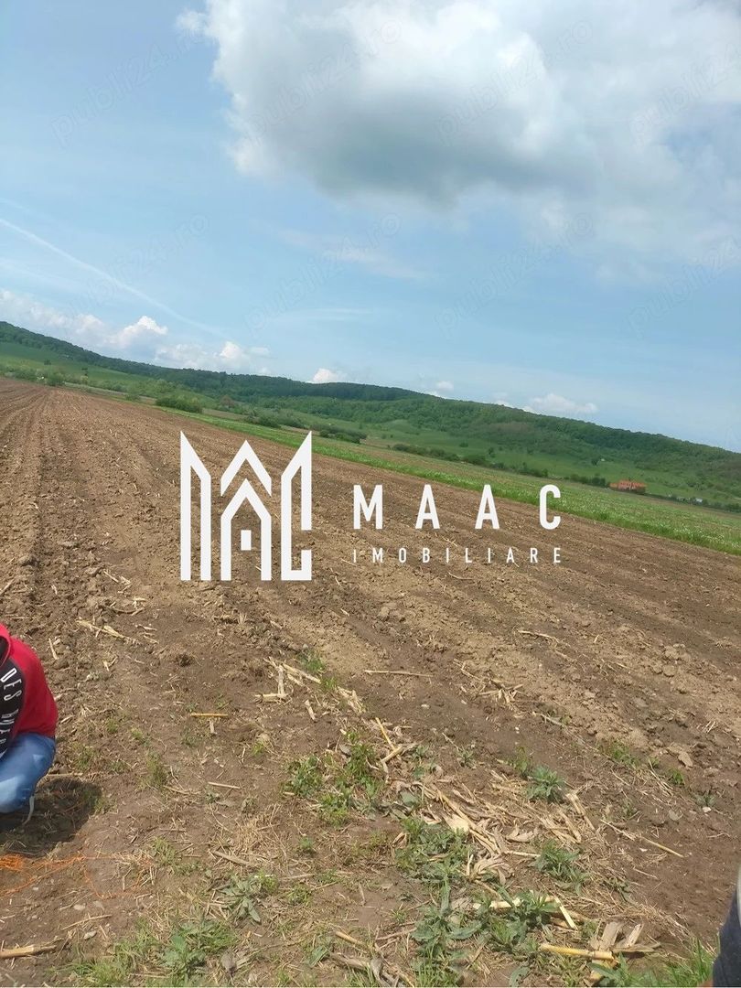 Teren extravilan de vânzare | Bradu | 10.000 mp | intabulat CF - Poză 1