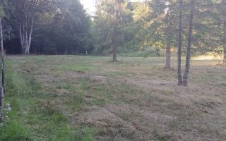 Teren Valea Avrigului- 1000 mp- Intravilan+ Certificat de urbanism - Poză 6