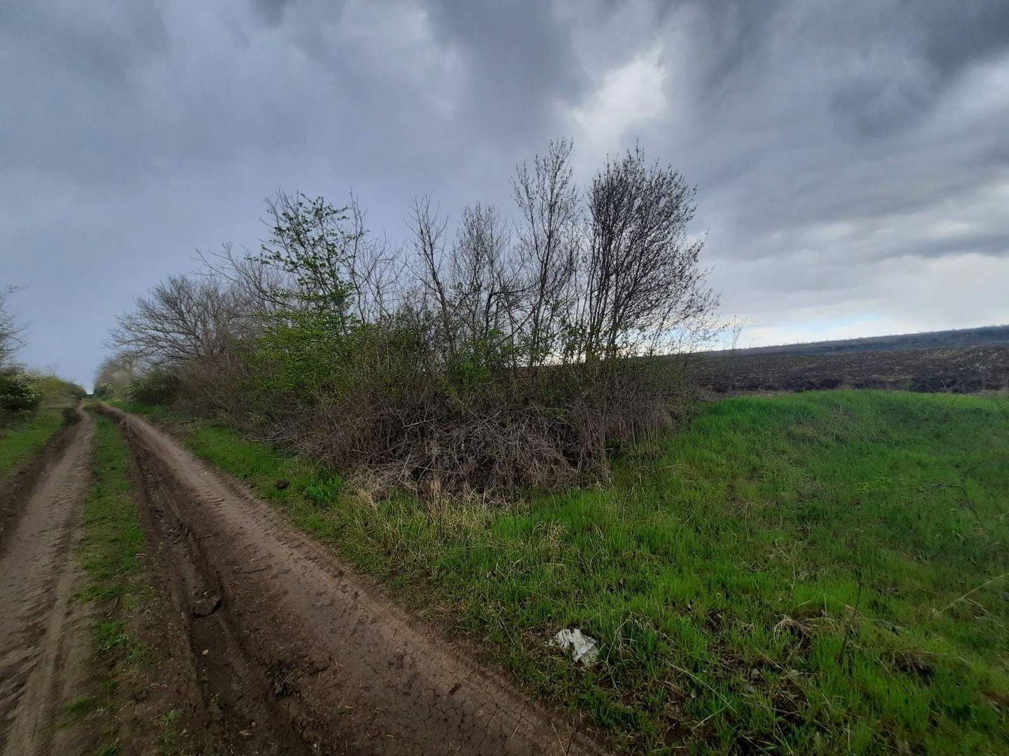 Teren agricol, Boșcana, 20 ari - Poză 1