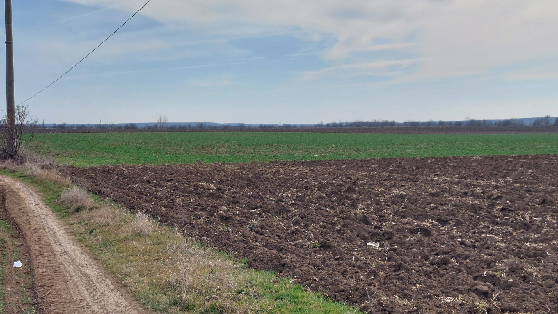 Teren 5,000mp Moara Vlasiei / Strada Morii - Poză 1