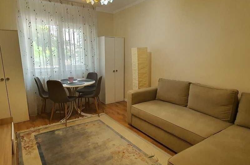 GARSONIERA- LACUL TEI, PET-FRIENDLY, PARCARE INCLUSA, REABILITAT - Poză 1