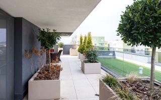 Penthouse superb, 3 camere+parcare subterana ,203 mp-Coresi - Poză 25