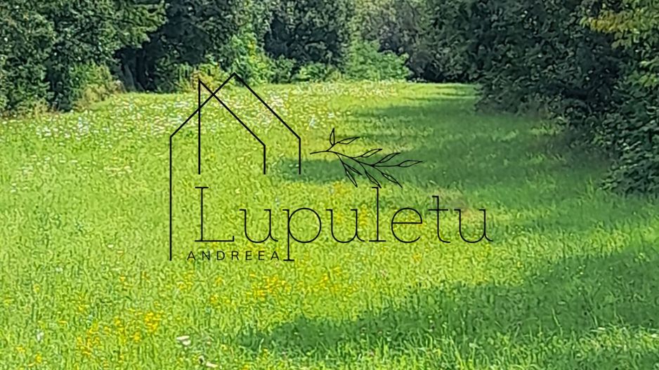 Teren Intravilan | 1500 MPU | Tocile, Comuna Sadu - Poză 6