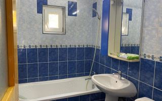 Inchiriez apartament 2 camere Nicolina - Poză 5