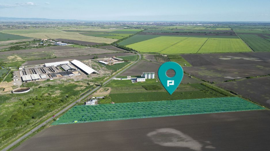 Livadă de nuci și pruni 2.4ha în Variașu Mare - Poză 2