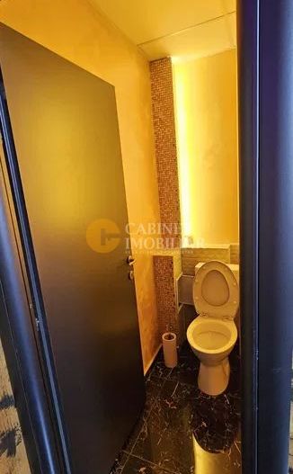 Spatiu comercial, Nicolina, Esplanada, 108mp, renovat - Poză 3