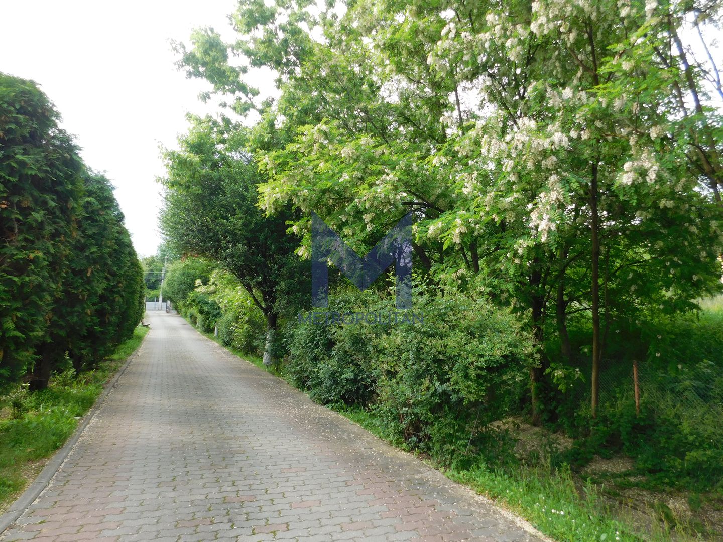 Vilă cu 1.350 mp teren în mijlocul orașului Grădina Botanică - Poză 21