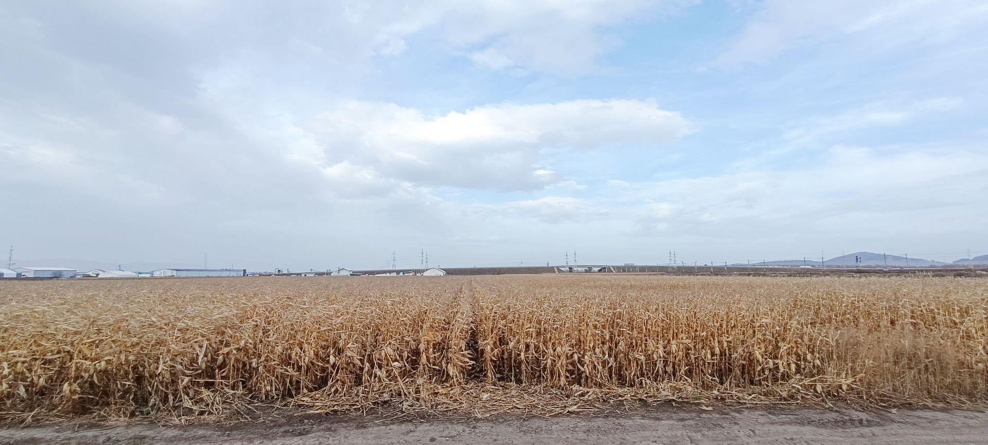 Teren intravilan industrial,str.Durau - Poză 5