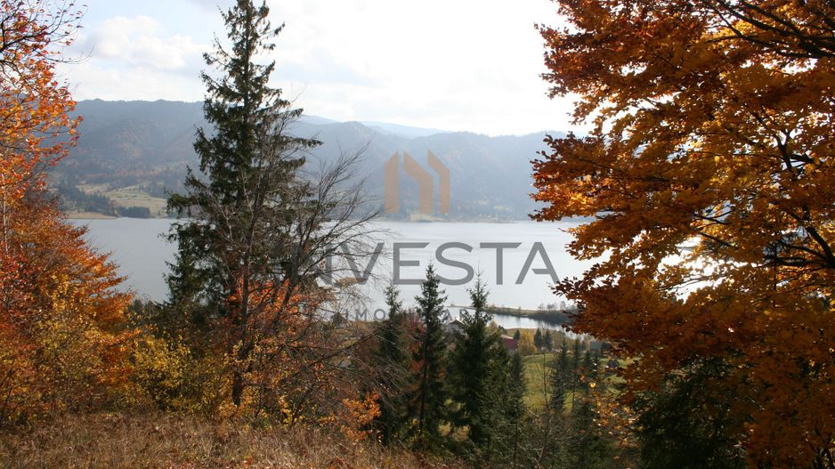 Oportunitate langa lacul Colibita! Teren intravilan 12.588 mp! - Poză 5