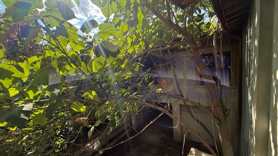 VANZARE VILA INTERBELICA | VIITORULUI | 374MP | CURTE 260MP | - Poză 36