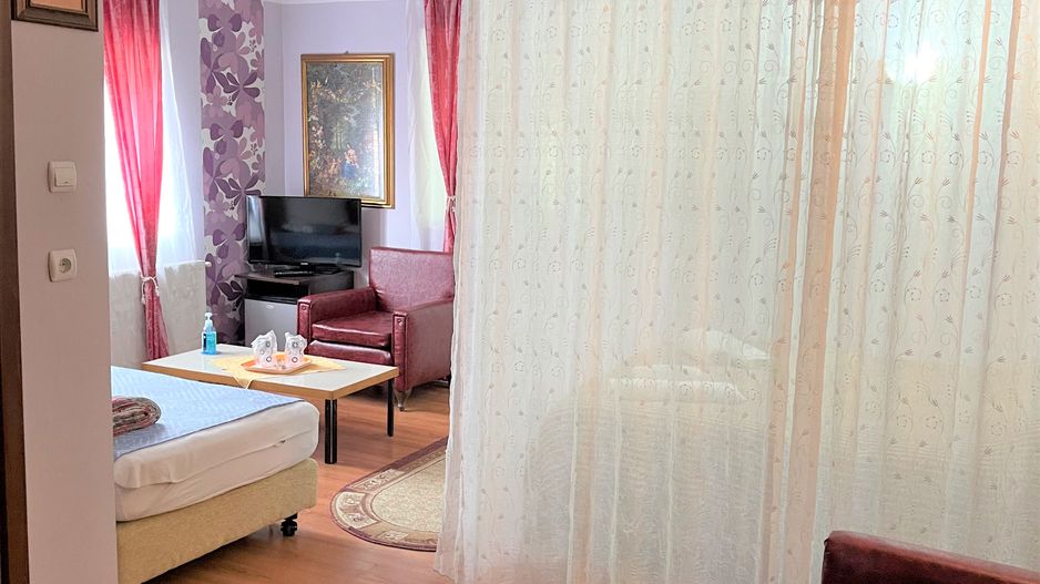 Proprietate in incantarea naturii, oportunitate investitie/rezidential, Predeal - Poză 22