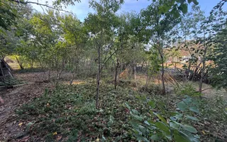 Casă de vânzare Hășdate ( GHERLA ) - Poză 14
