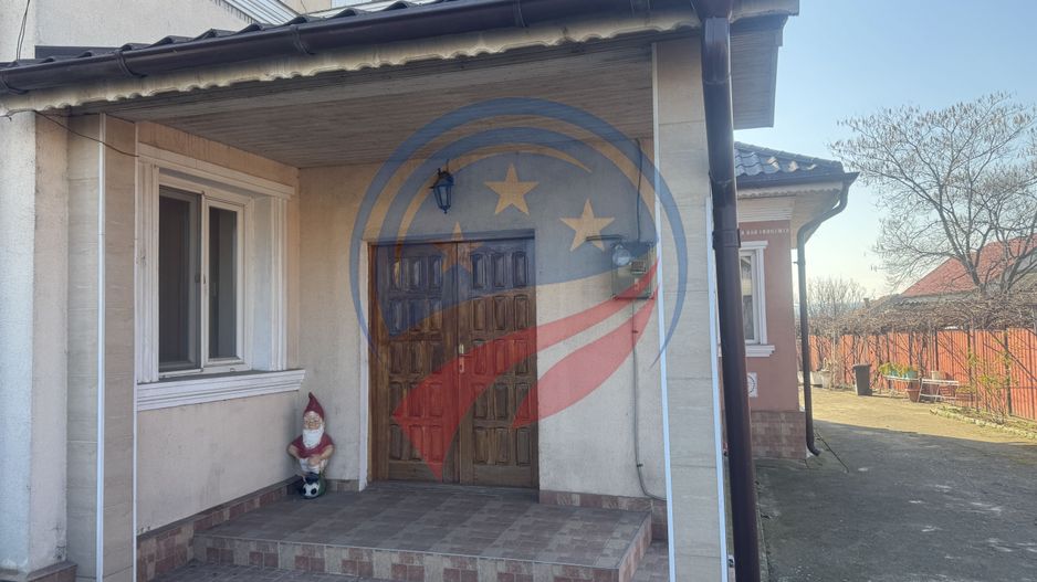 Proprietate deosebita in Filiasi - Poză 20