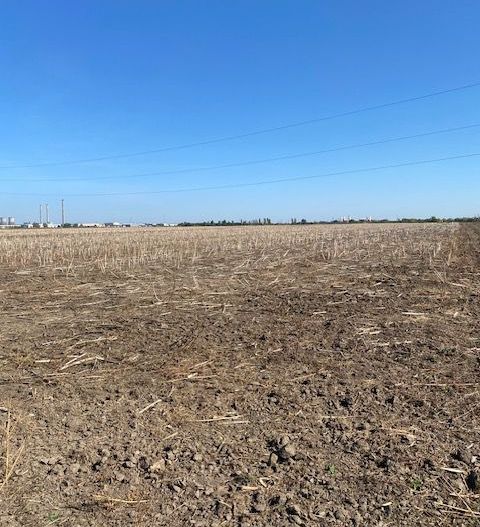 Teren agricol în Zona Sagului - Poză 9