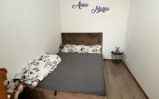 Apartament 2 camere Sagului - Poză 3