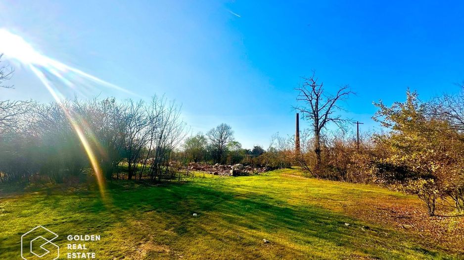 Teren intravilan 71.000mp, Barsa, Renumita Fabrica de caramida si casa 4 camere - Poză 6