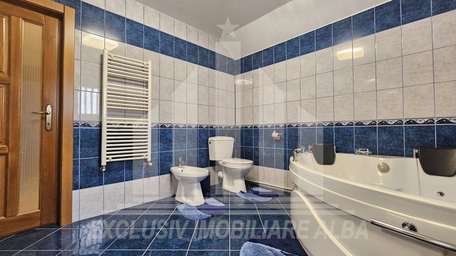 Casa individuala de inchiriat cu garaj, Alba-Micesti - Poză 13