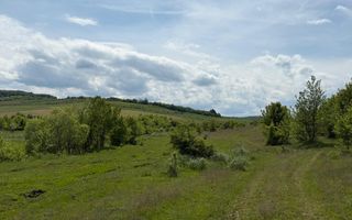 Teren de vânzare în Salistea Noua! - Poză 4