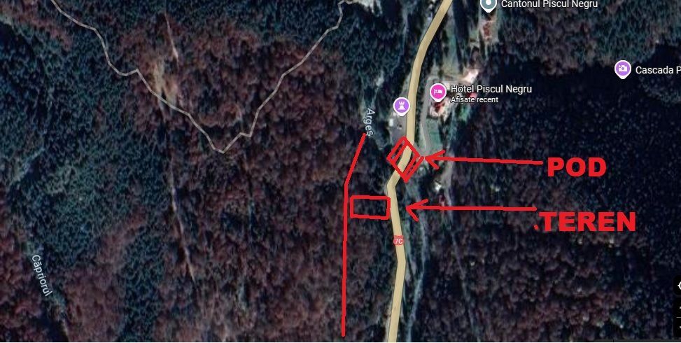 TEREN EXTRAVILAN PADURE PISCUL NEGRU ARGES - Poză 10