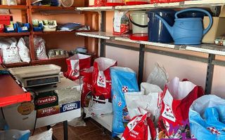 Casa in localitatea Nojorid - Poză 19