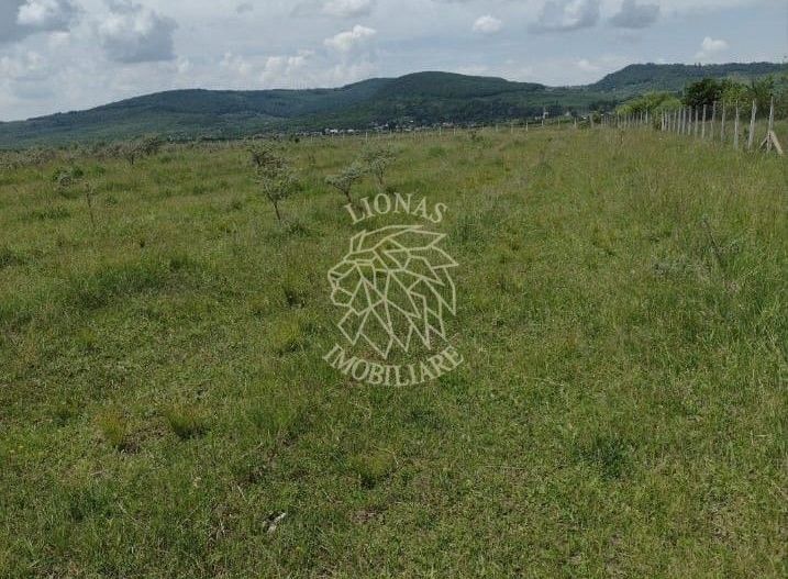 Teren 23700 mp (2,37 ha)-ideal investitie,cabana-Sesul Jelnei - Poză 2