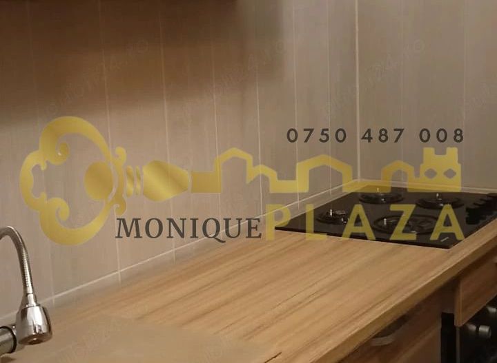 Garsoniera | Zona centrala | Mobilata | Utilata | Renovata total | - Poză 1