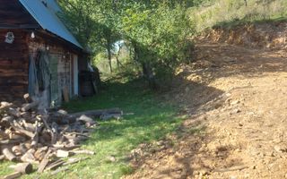 Super ofertă 35000 teren in Muntii Apuseni - Poză 30