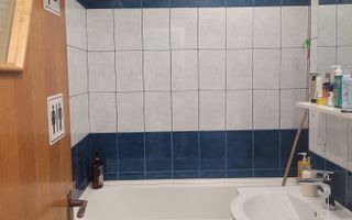 Apartament 2 camere de vanzare Gorjului - Poză 13