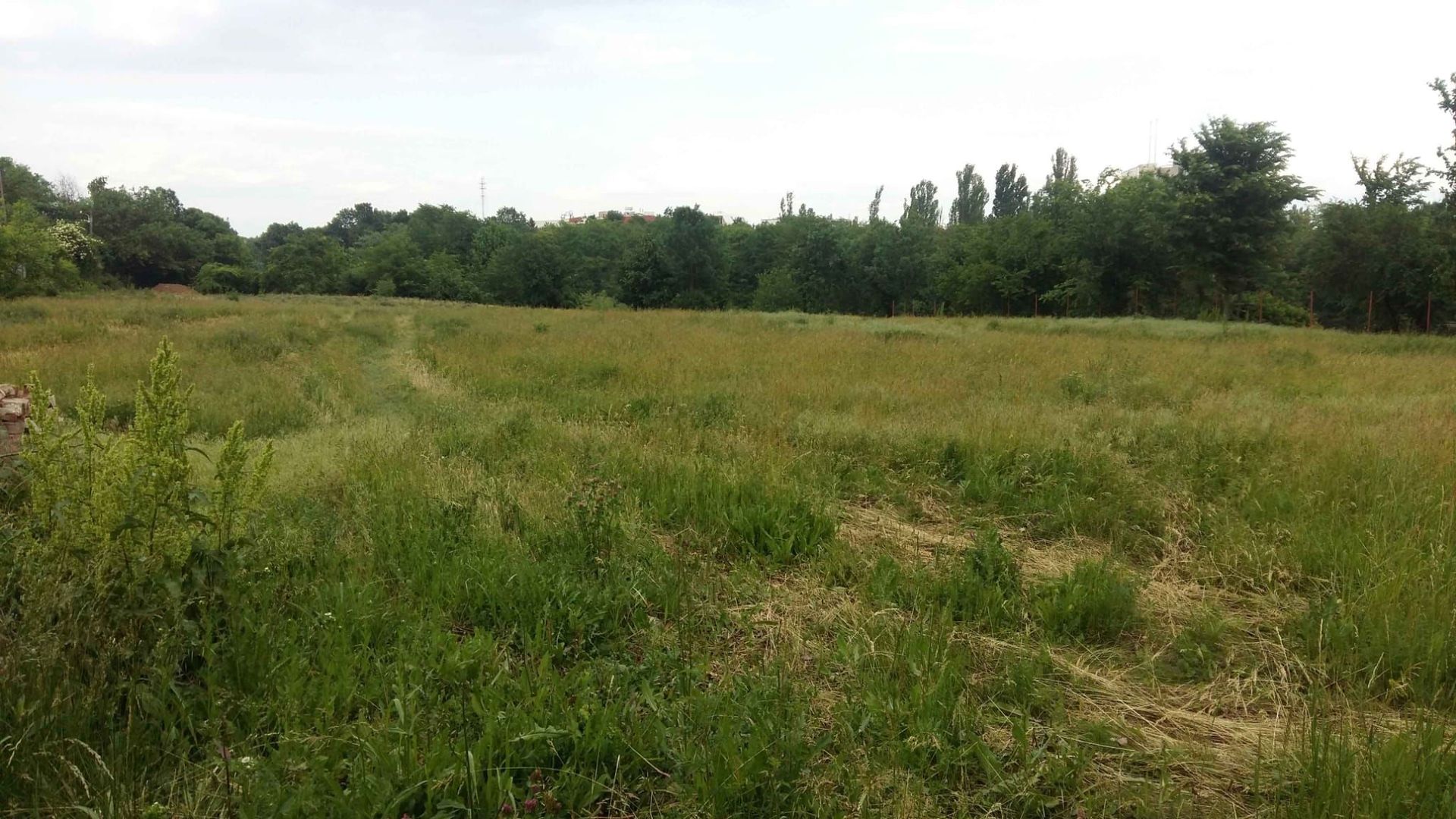 Teren 6000 mp pozitie deosebita lacul Baneasa adancime 140 m - Poză 16