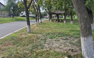 Vânzare, tren pentru construcție 6 ari, Cruzești - Poză 6