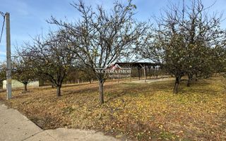 NECTORA IMOB-Teren cu livada matura+Anexa racordata la trifazic,9162mp - Poză 2