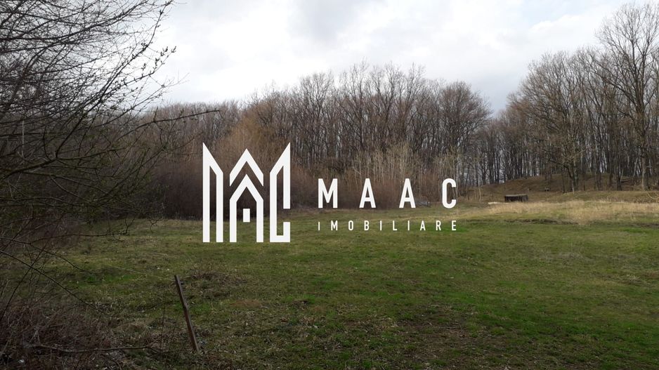 Teren Extravilan 4.572mp | Zonă liniștită | Sadu - Poză 2