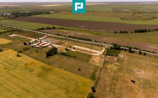 Business la cheie și 25.000 mp teren Arad-Oradea - Poză 10