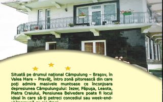 VILA - PENSIUNE CU RESTAURANT + SI TEREN 6406 MP, VALEA MARE PRAVAT, - Poză 2