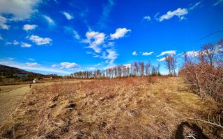 Teren intravilan | 48 ARI | Voivodeasa - Poză 3