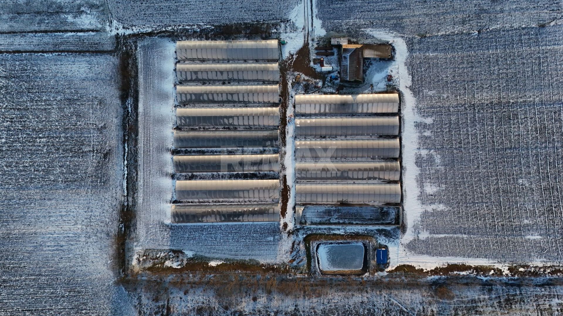Investiție agricolă, Anenii Noi - Poză 2