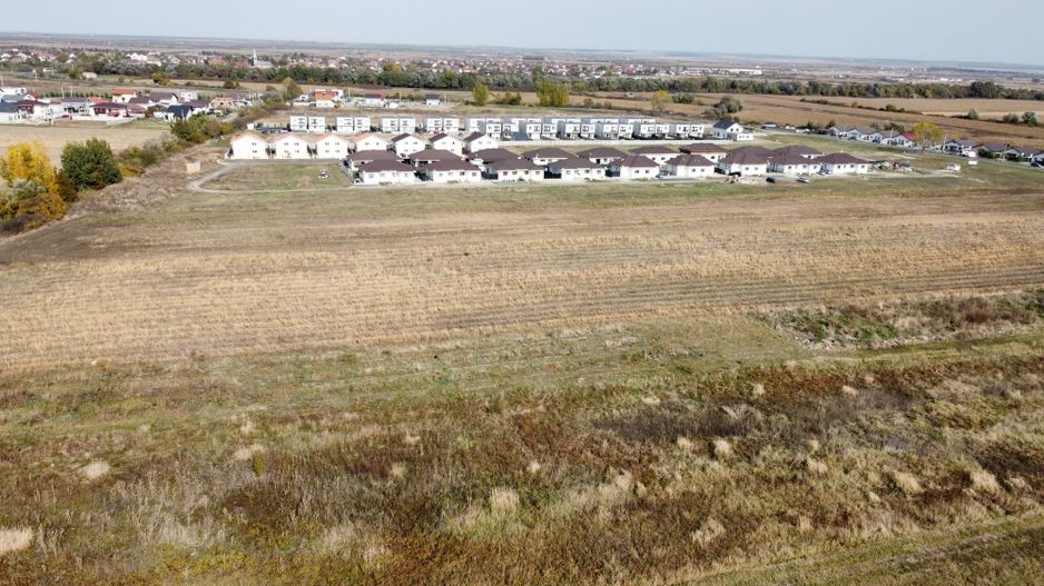 Teren PUZ rezidential-Bucovat (Remetea Mare) - Poză 2